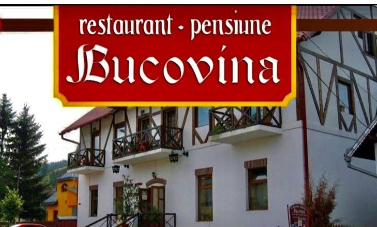 Pensiunea Restaurant Bucovina Putna  Exterior photo